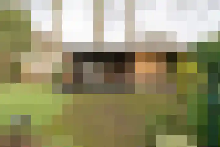 Iepenlaan 15 Geesbrug thumbnail 36