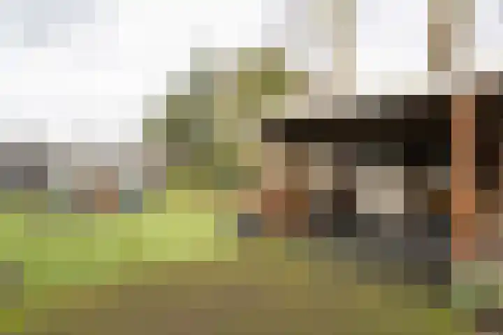 Iepenlaan 15 Geesbrug thumbnail 37
