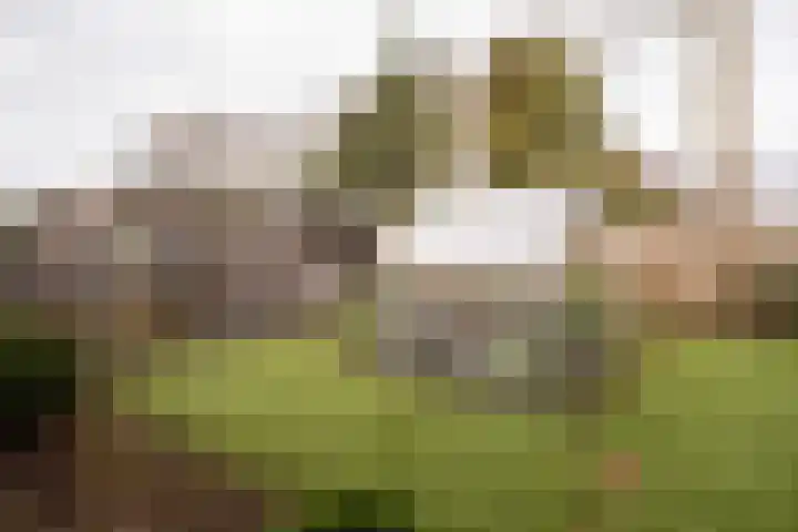 Iepenlaan 15 Geesbrug thumbnail 38