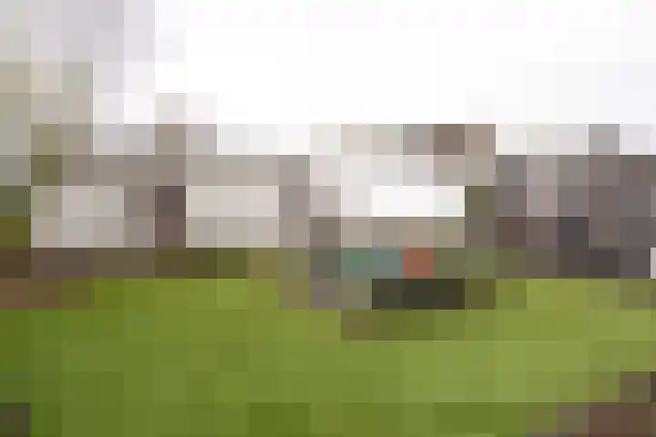 Iepenlaan 15 Geesbrug thumbnail 39