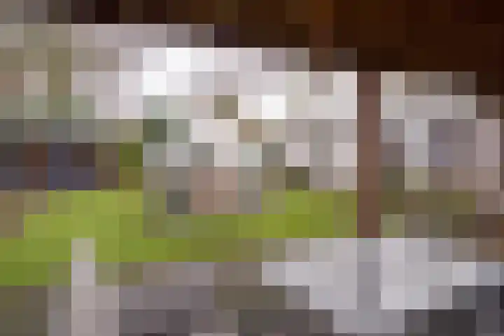 Iepenlaan 15 Geesbrug thumbnail 40
