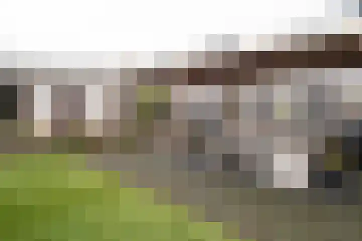 Iepenlaan 15 Geesbrug thumbnail 41