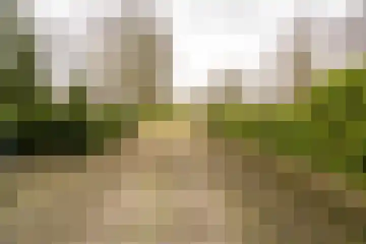 Iepenlaan 15 Geesbrug thumbnail 42