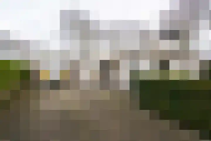 Iepenlaan 15 Geesbrug thumbnail 43