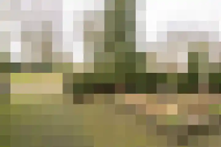 Iepenlaan 15 Geesbrug thumbnail 46
