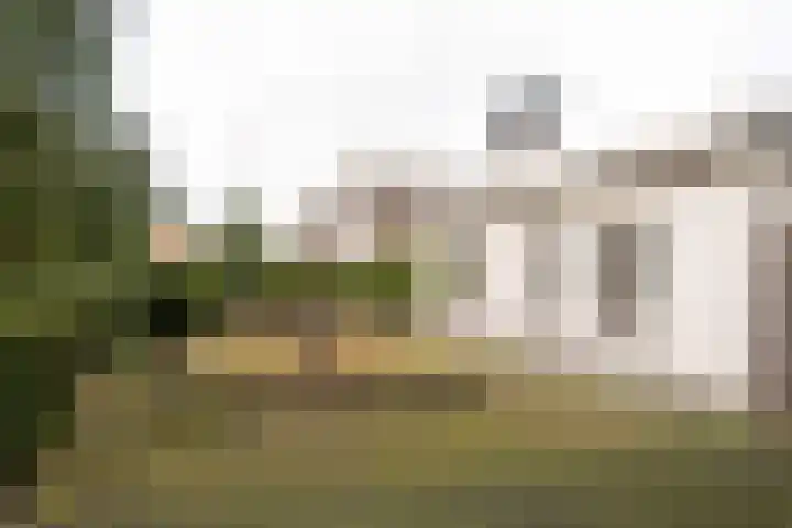Iepenlaan 15 Geesbrug thumbnail 47