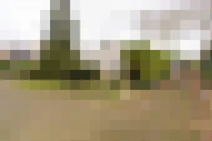 Iepenlaan 15 Geesbrug thumbnail 48