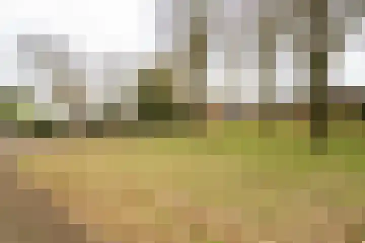 Iepenlaan 15 Geesbrug thumbnail 49
