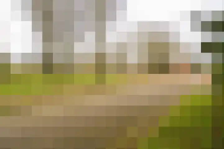 Iepenlaan 15 Geesbrug thumbnail 50