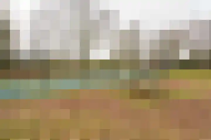 Iepenlaan 15 Geesbrug thumbnail 51