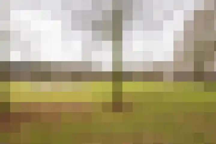 Iepenlaan 15 Geesbrug thumbnail 52