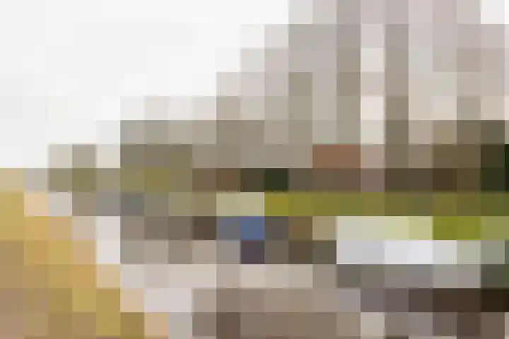 Iepenlaan 15 Geesbrug thumbnail 53