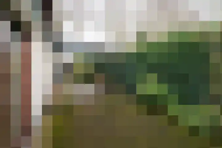 Iepenlaan 15 Geesbrug thumbnail 6