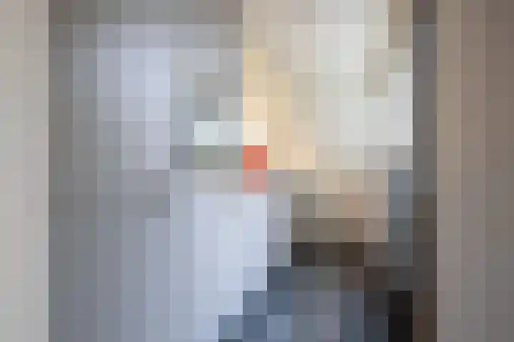 Iepenlaan 16 Beverwijk thumbnail 15