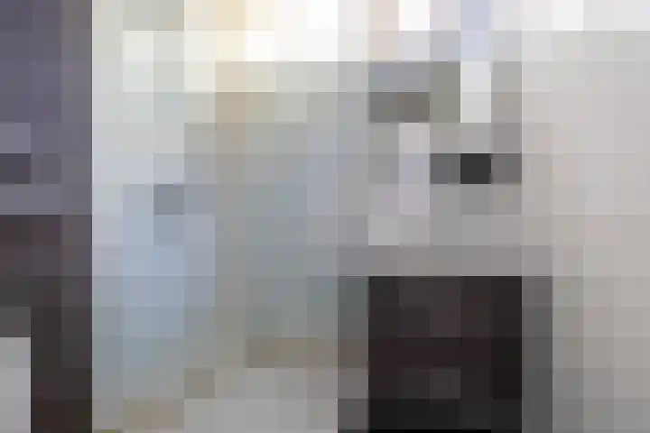 Iepenlaan 16 Beverwijk thumbnail 17