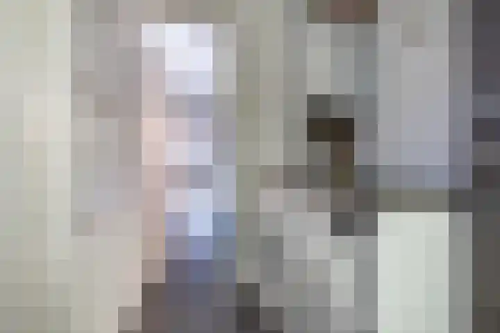 Iepenlaan 16 Beverwijk thumbnail 18