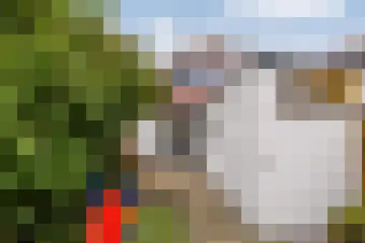 Iepenlaan 16 Beverwijk thumbnail 29