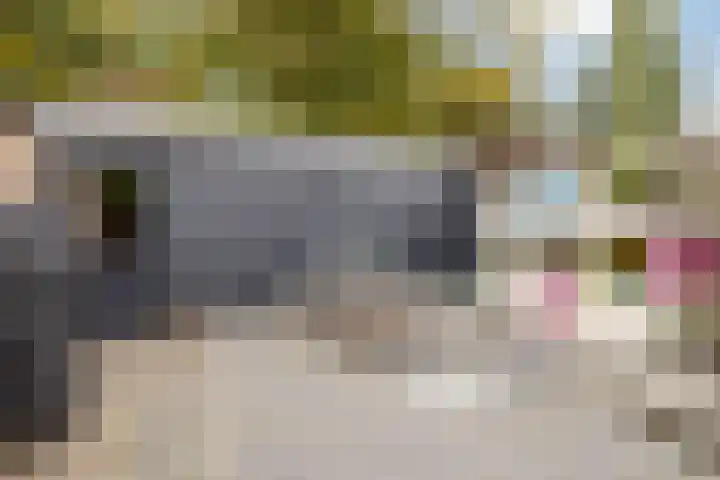 Iepenlaan 16 Beverwijk thumbnail 31