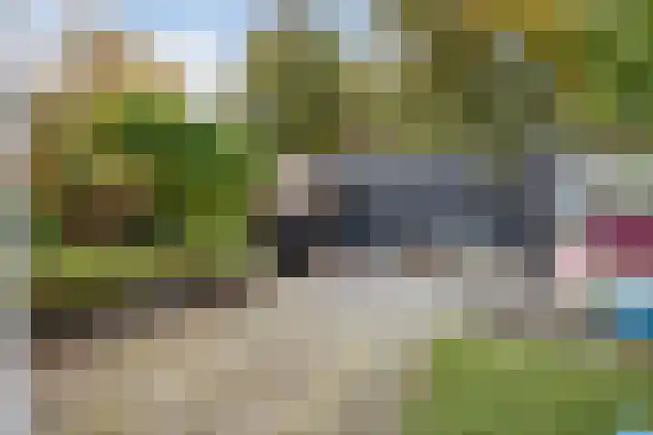 Iepenlaan 16 Beverwijk thumbnail 32