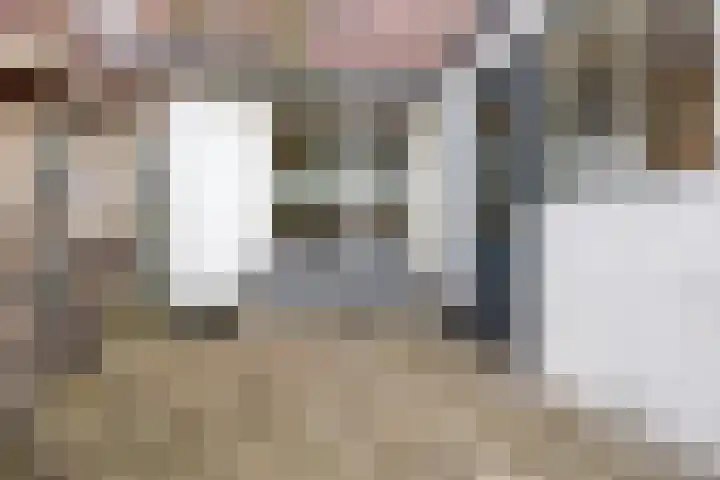 Iepenlaan 16 Beverwijk thumbnail 33