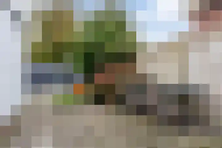 Iepenlaan 16 Beverwijk thumbnail 34