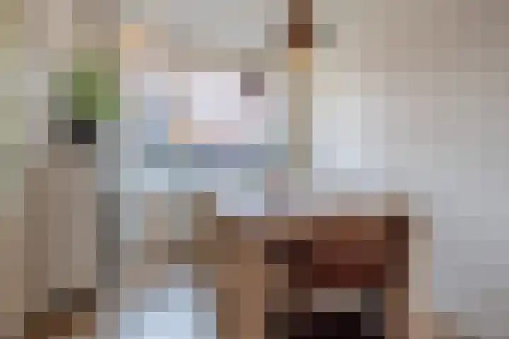 Iepenlaan 16 Beverwijk thumbnail 8
