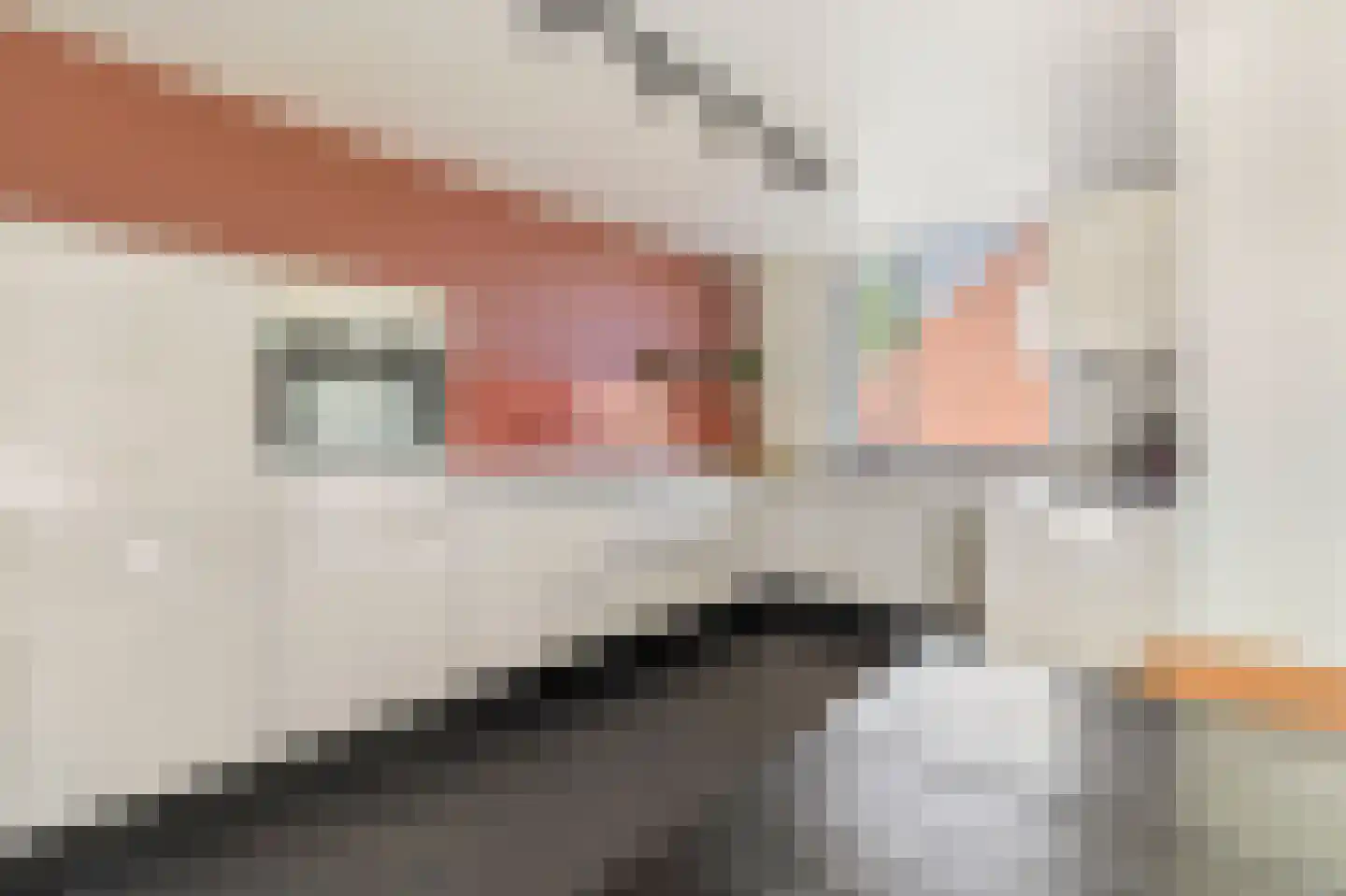 Iepenlaan 16 Roermond thumbnail 16