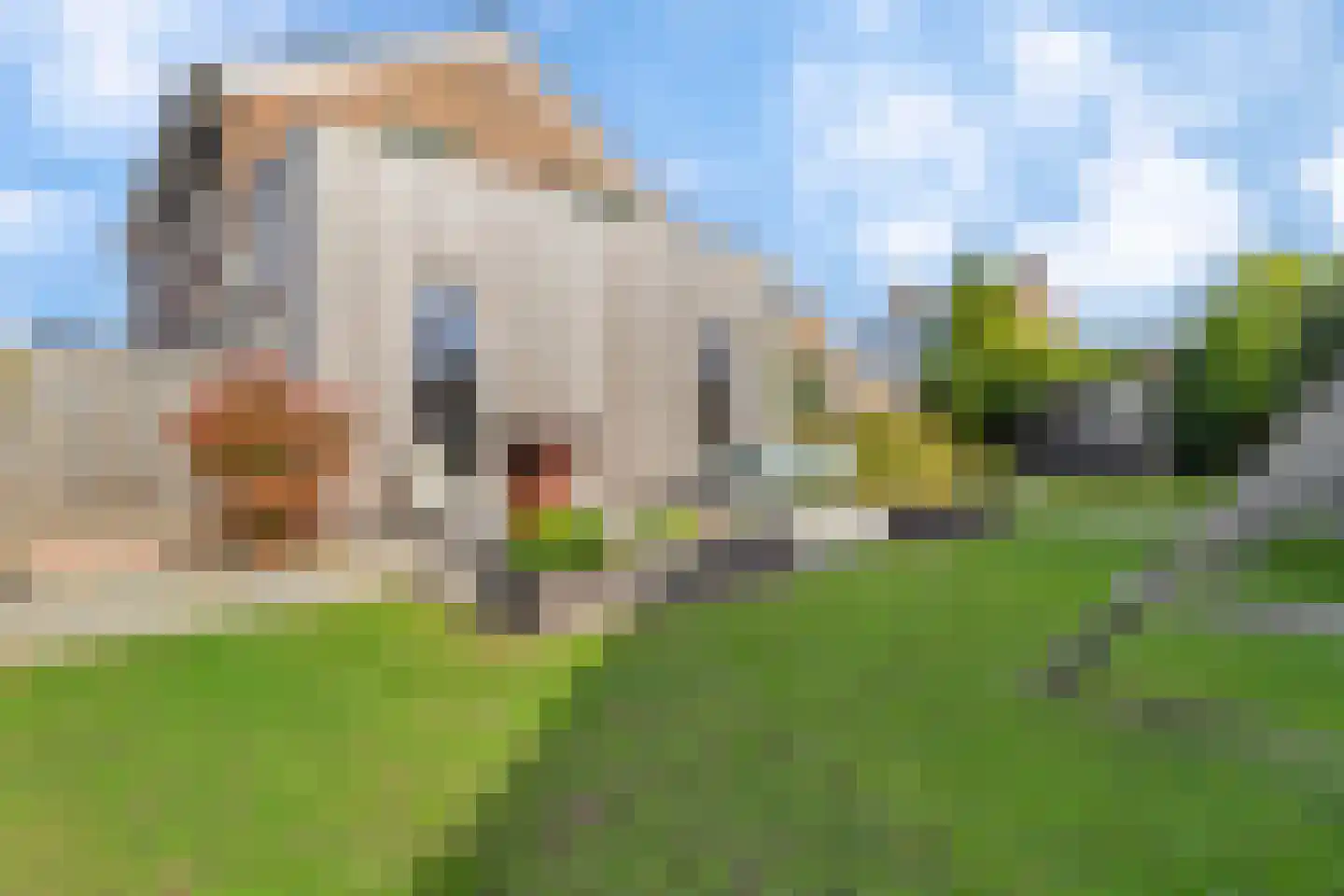 Iepenlaan 16 Roermond thumbnail 29