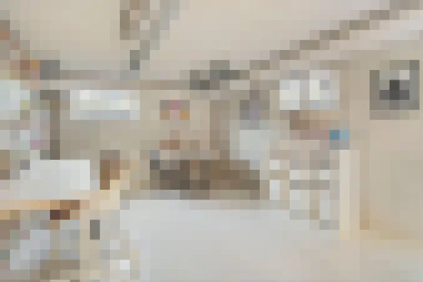 Iepenlaan 16 Roermond thumbnail 35
