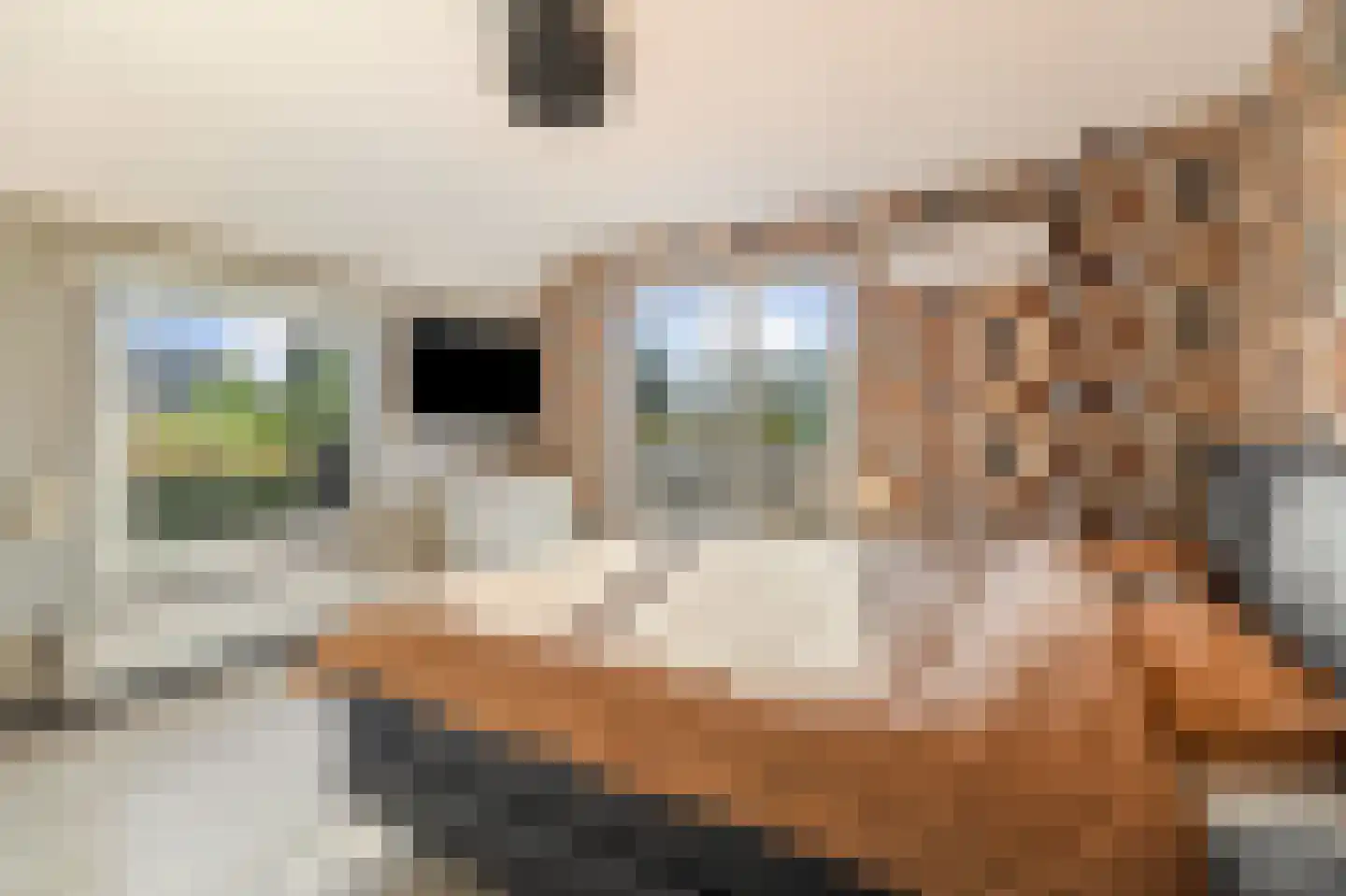 Iepenlaan 16 Roermond thumbnail 37