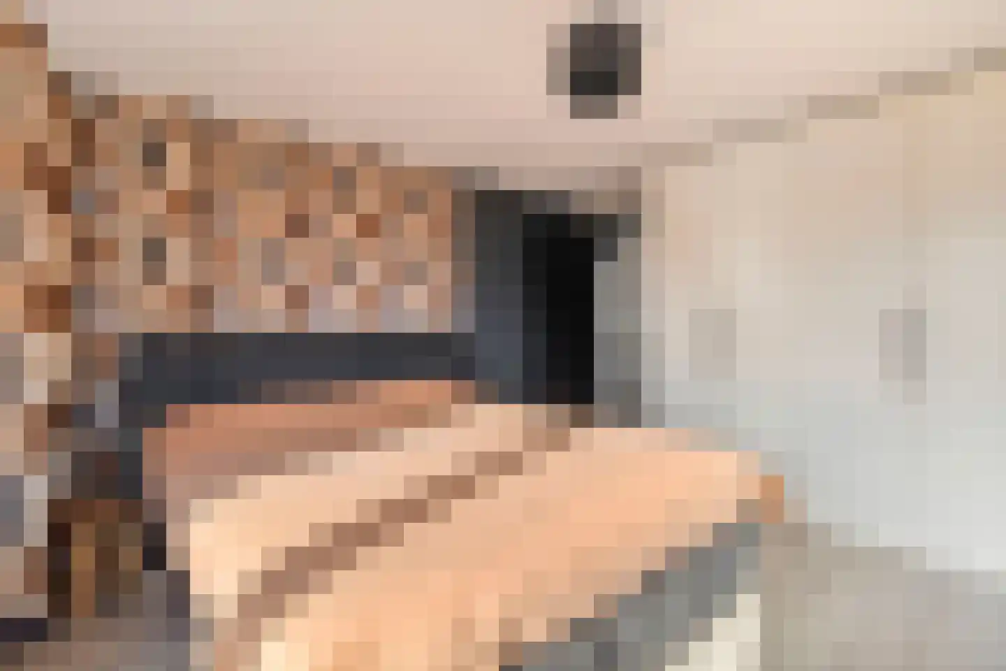Iepenlaan 16 Roermond thumbnail 38