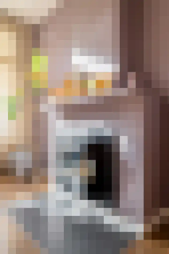 Iepenlaan 16 Sneek thumbnail 18