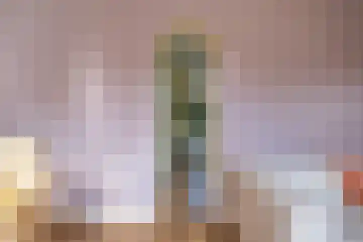 Iepenlaan 16 Sneek thumbnail 19