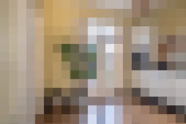 Iepenlaan 16 Sneek thumbnail 20