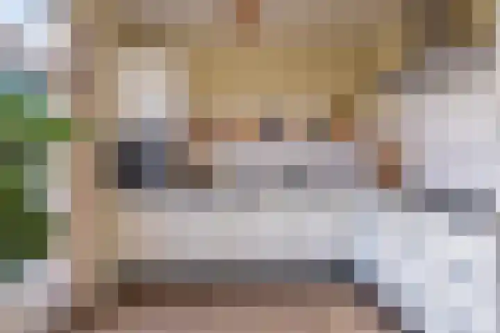 Iepenlaan 16 Sneek thumbnail 21