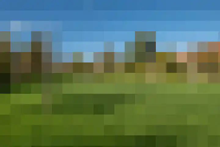 Iepenlaan 16 Sneek thumbnail 37
