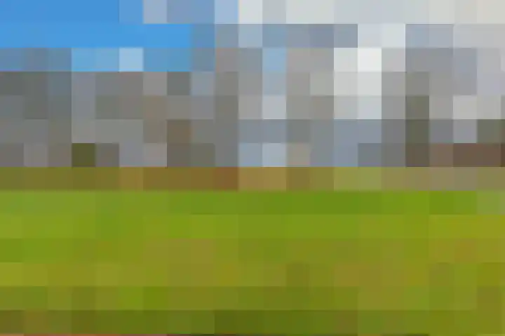 Iepenlaan 18 Alteveer thumbnail 13