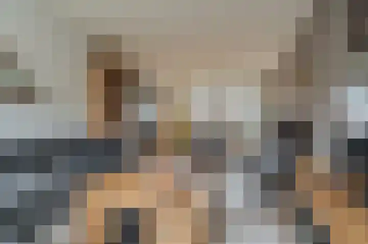 Iepenlaan 18 Alteveer thumbnail 15