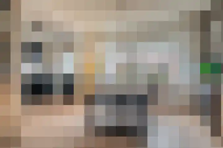 Iepenlaan 18 Alteveer thumbnail 17