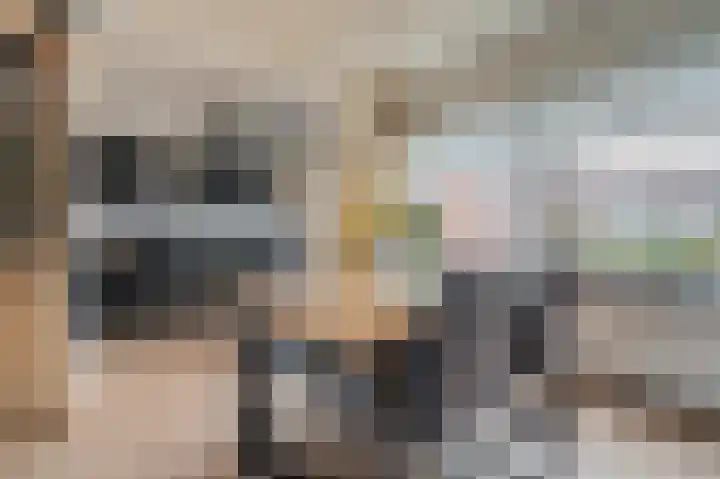 Iepenlaan 18 Alteveer thumbnail 18