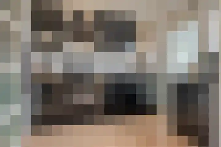 Iepenlaan 18 Alteveer thumbnail 19