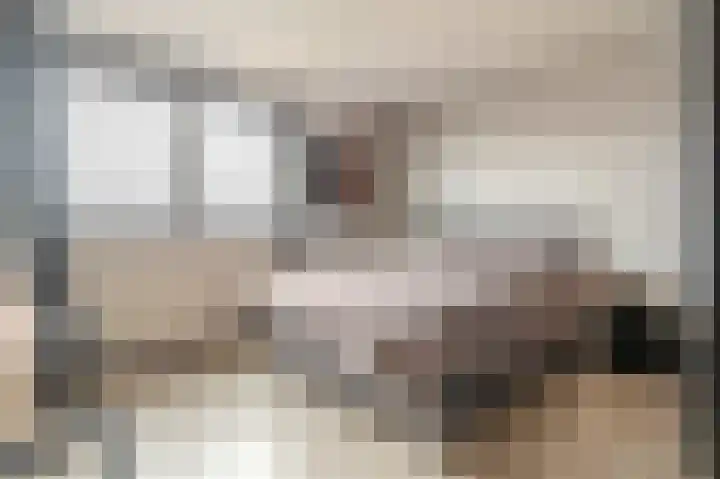 Iepenlaan 18 Alteveer thumbnail 27