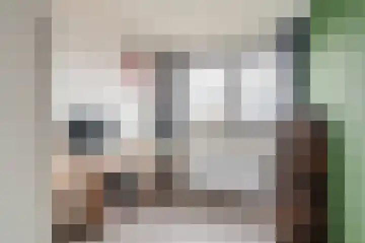 Iepenlaan 18 Alteveer thumbnail 29