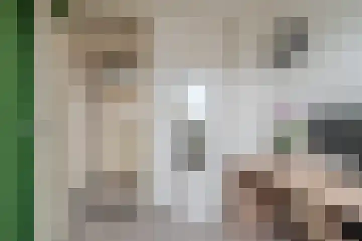 Iepenlaan 18 Alteveer thumbnail 30