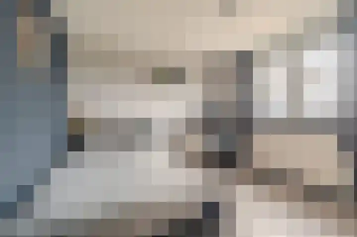 Iepenlaan 18 Alteveer thumbnail 31