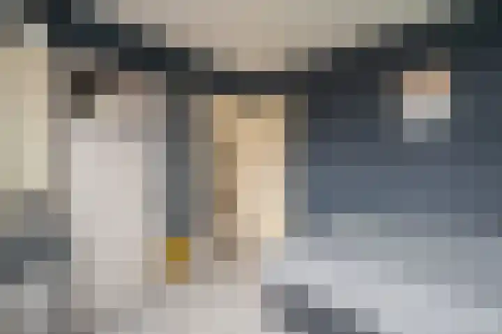 Iepenlaan 18 Alteveer thumbnail 32