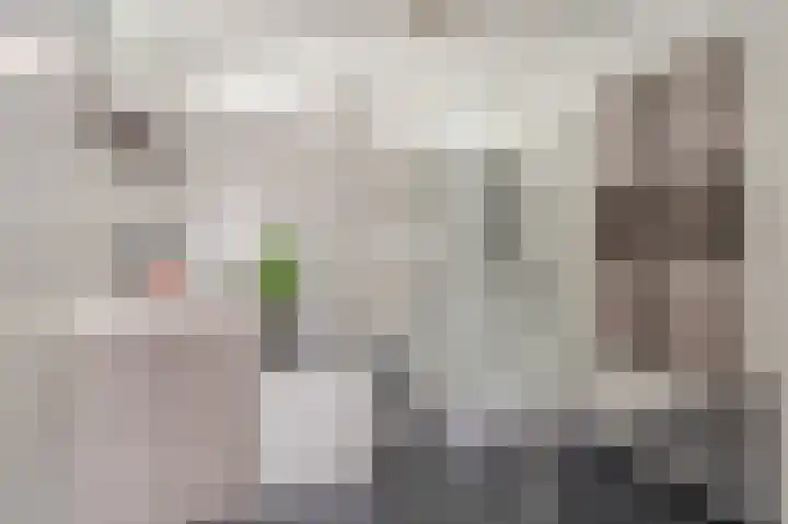 Iepenlaan 18 Alteveer thumbnail 33