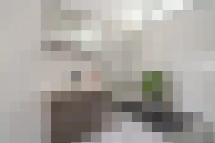 Iepenlaan 18 Alteveer thumbnail 34
