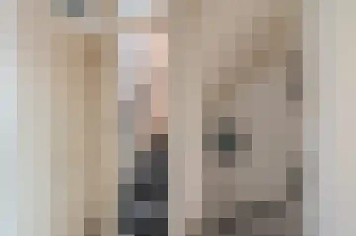 Iepenlaan 18 Alteveer thumbnail 35