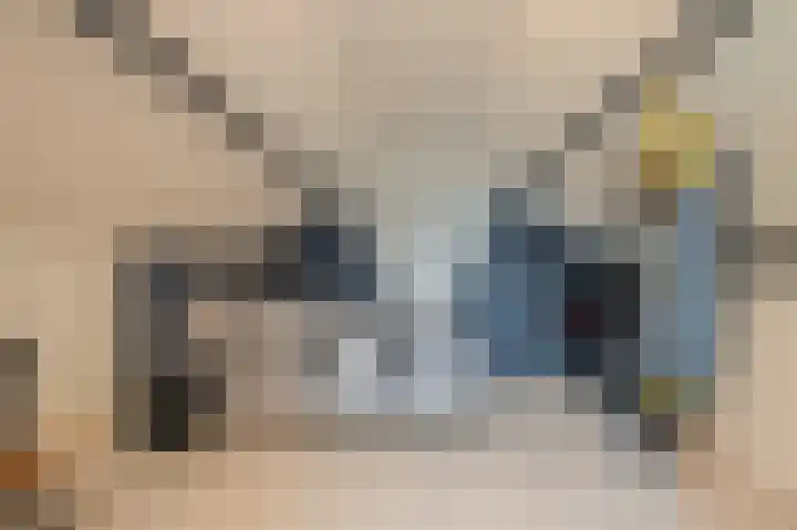 Iepenlaan 18 Alteveer thumbnail 36